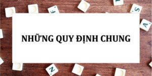 Tổng quan về điều khoản dịch vụ